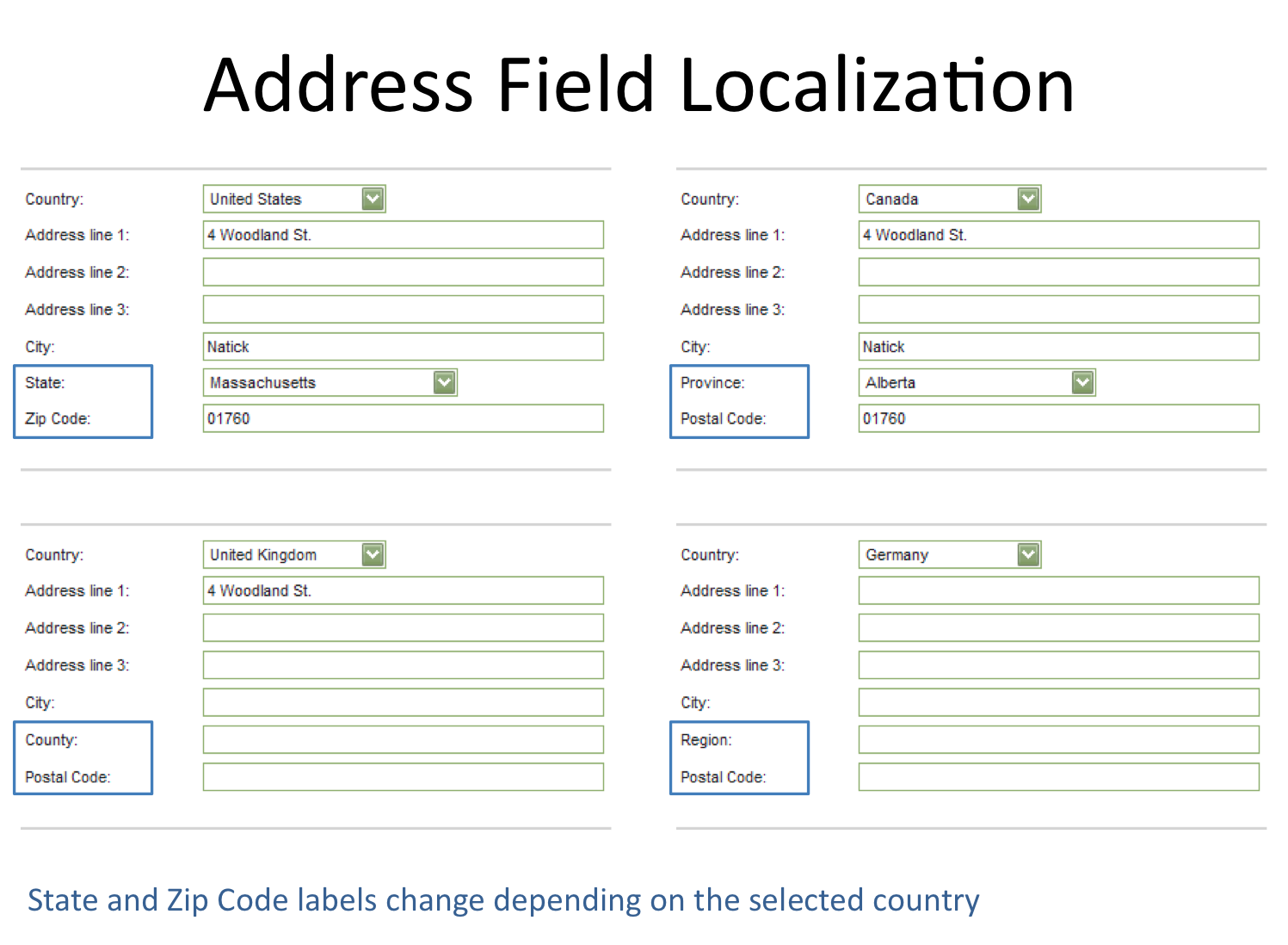 Address fields. Address-field. Us address. My address is. Havies address игра.